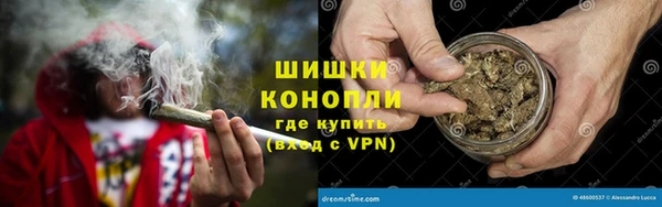 гидра Усмань
