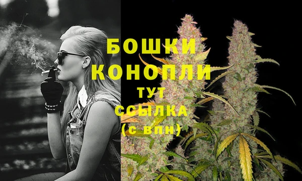 гидра Усмань