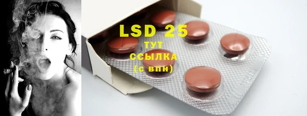 гидра Усмань