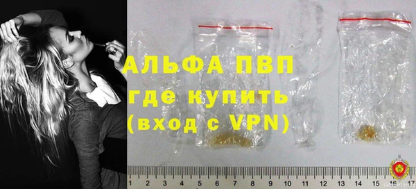 гидра Усмань