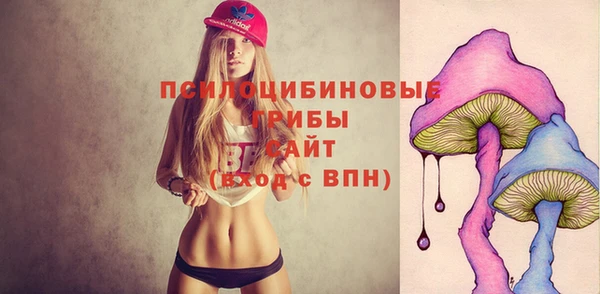гидра Усмань