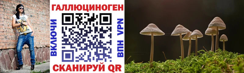 Псилоцибиновые грибы Psilocybine cubensis  где найти наркотики  мега как зайти  Шенкурск 