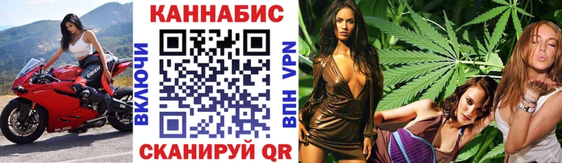 МЕГА вход  Шенкурск  Шишки марихуана Ganja 